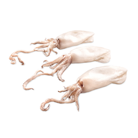 Large Whole Cleaned Baby Squid