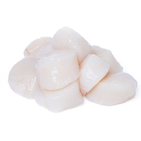 Large Japanese Hokkaido Scallops