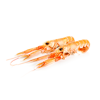 Large Wild Caught Langoustine Whole