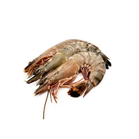 Medium Black Tiger Prawns with Head & Shell On