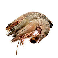 Jumbo Black Tiger Prawns with Head & Shell On