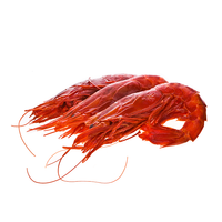 Medium Wild Carabinero Red Shrimp
