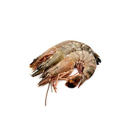 Small Black Tiger Prawns with Head & Shell On