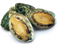 Whole Green Lip Abalone