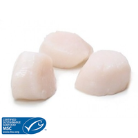 Medium Canadian Scallops