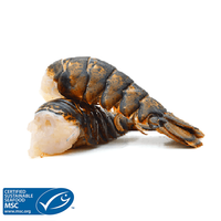 Medium Raw Wild Atlantic Lobster Tails Shell On