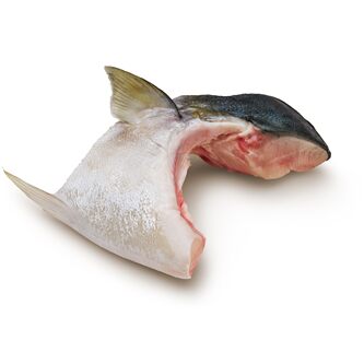 Japanese Yellowtail Collar - Hamachi Kama