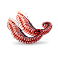 Medium Octopus Tentacles Cooked 600g