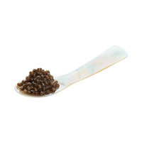 Mother of Pearl Spoons 9cm