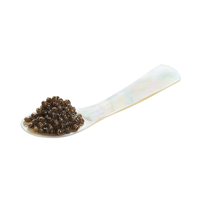 Mother of Pearl Spoons 9cm