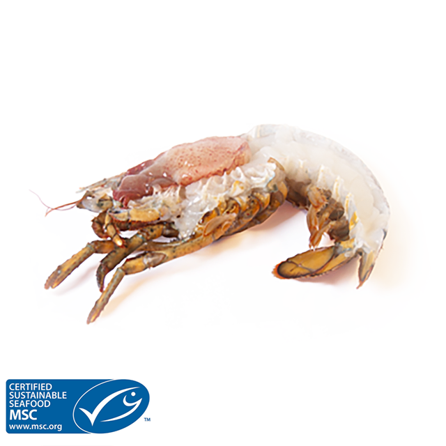 Raw Wild Atlantic Lobster Split Half